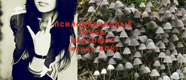 амф Балахна