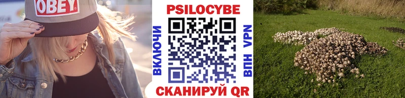 Псилоцибиновые грибы мицелий  сколько стоит  Городище 